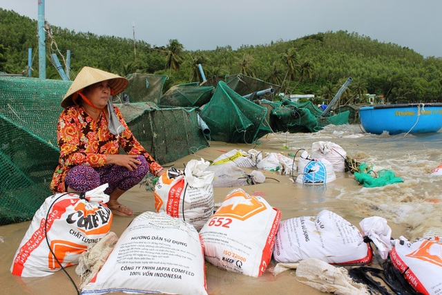 Rơi nước mắt chứng kiến gần 10.000 lồng tôm hùm bị bão cuốn bay - 10
Bà Nguyễn Thị Sáu (59 tuổi) nhìn những bao cát nặng gần 50kg mà nói: “Nghe tin bão chúng tôi đã chuẩn bị những bao cát như thế này để giữ lồng bè, nào ngờ đâu bão quá mạnh cuốn đi của nhà tôi hơn 14.000 con tôm. 3 mẹ con, dành dụm tích góp hơn chục năm nay giờ trả tất cả về biển…”