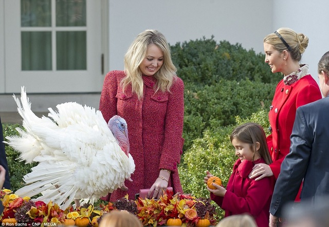 Tiffany Trump cùng chị và cháu gái bên cạnh chú gà tây Drumstick. (Ảnh: Mega)