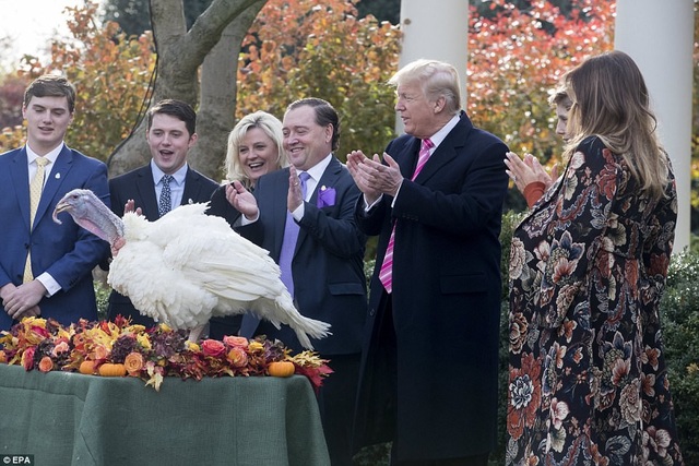 Tổng thống Trump lần đầu “tha bổng” gà tây ở Nhà Trắng - 4
Tổng thống Trump cùng Đệ nhất Phu nhân Melania và con trai út Barron Trump đứng cùng nhà Wittenburg, gia đình đã nuôi dưỡng con gà Drumstick. (Ảnh: EPA)