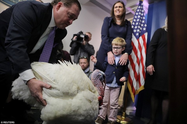 
Thư ký báo chí Nhà Trắng Sarah Huckabee Sanders giới thiệu chú gà tây “may mắn” tới giới phóng viên. (Ảnh: Reuters)
