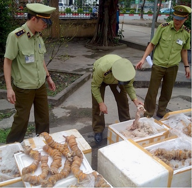 Lực lượng quản lý thị trường Nghệ An vừa tiến hành thu giữ và tiêu hủy một lượng lớn sản phẩm động vật không rõ nguồn gốc.