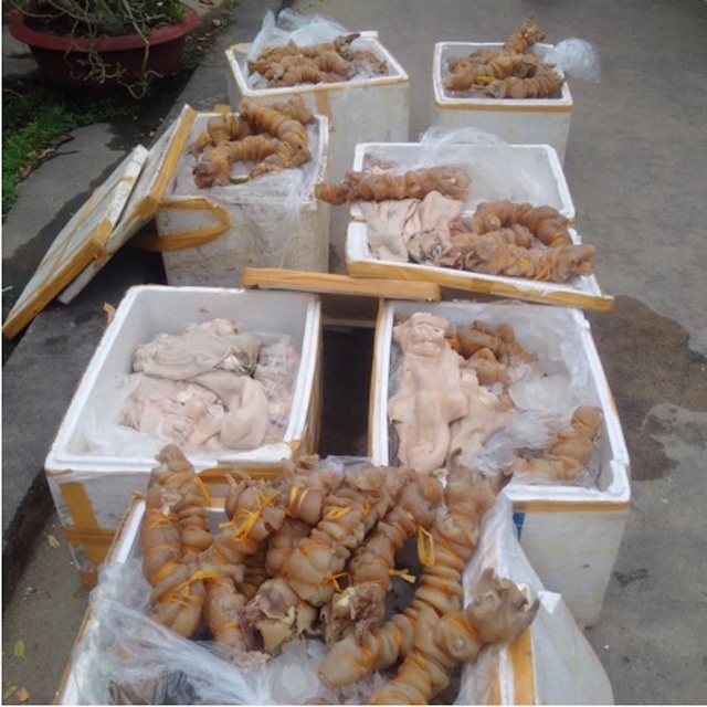 Gần 400 kg chân bò rút xương không nguồn gốc thành mồi nhậu - 2 Gần 400 kg chân bò rút xương bốc mùi suýt thành mồi nhậu.