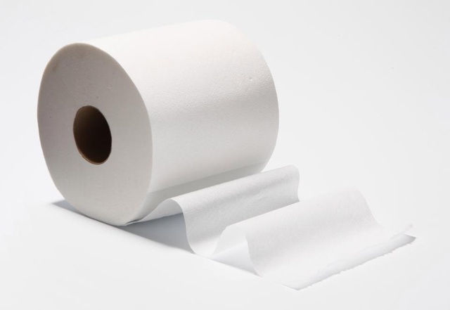 Các loài động vật có vú chỉ mất 12 giây để đi… vệ sinh - 1 Các loài động vật có vú chỉ mất 12 giây để đi… vệ sinh - 1