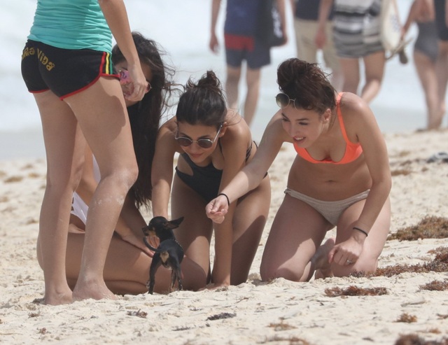 Victoria Justice đẹp nuột nà với áo tắm - 3
Các cô gái trẻ vui đùa với 1 chú cún trên bãi biển