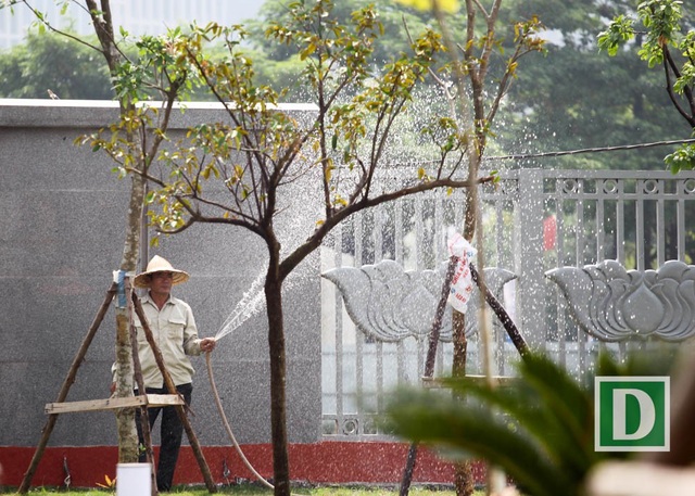 Toàn cảnh Cung hữu nghị Việt - Trung mới khánh thành - 13
Những cây xanh mới trồng được công nhân chăm sóc.