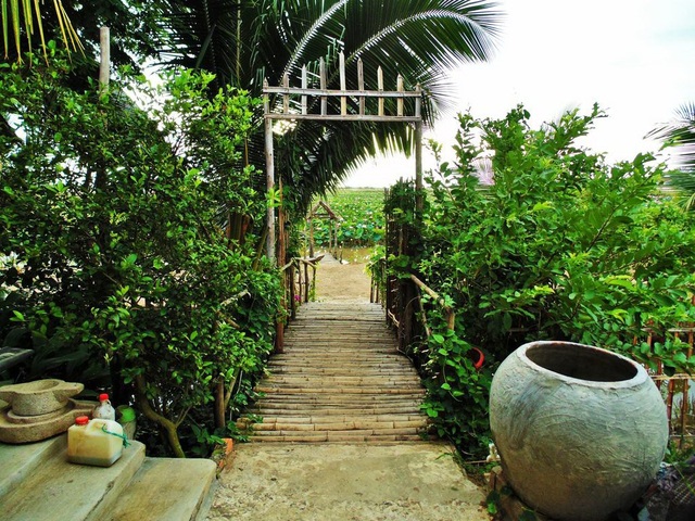 Khám phá mô hình du lịch homestay ở Tràm Chim - 3 Không gian quanh căn nhà homestay của ông Bé Tư rất gần gũi với thiên nhiên