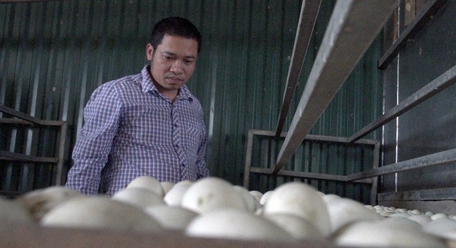 "Ông vua vịt trời" kiếm tiền tỷ mỗi năm - 3
Quyết là làm, anh Cường liên hệ với bạn ở tận Long An để tìm nguồn vịt trời. Sau nhiều ngày chờ đợi, 10 con vịt đầu tiên được bẫy bắt và đưa từ miền Nam ra làm giống.