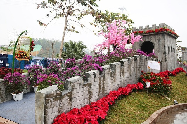 Khai mạc lễ hội hoa kéo dài một tháng tại Sun World Halong Complex - 5 Khai mạc lễ hội hoa kéo dài một tháng tại Sun World Halong Complex - 5