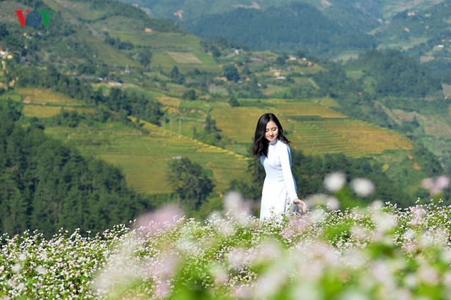Ngắm đồi mâm xôi đẹp nổi tiếng trong mùa vàng Mù Cang Chải - 9 Ngắm đồi mâm xôi đẹp nổi tiếng trong mùa vàng Mù Cang Chải - 9