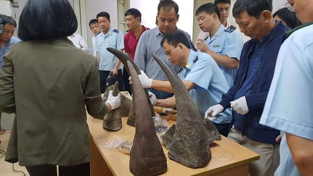 Phát hiện vụ vận chuyển sừng tê giác qua đường hàng không - 1 Lực lượng chức năng tiến hành mở kiểm tra các thùng hàng.