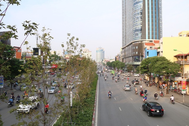 Phố Hà Nội lãng mạn nhờ hàng cây phong lá đỏ chuyển màu đỏ rực - 1 Mới đây, TP Hà Nội đã cho trồng 100 gốc cây phong lá đỏ tại tuyến phố Trần Duy Hưng - Nguyễn Chí Thanh. Loài cây ôn đới với màu lá vàng lãng mạn vào thu được kì vọng sẽ đem lại làn gió mới mẻ cho phong cảnh Thủ đô.