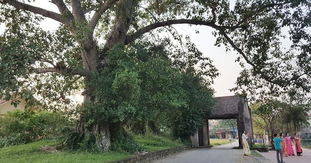 Mê mẩn với ngôi làng yên bình giữa Thủ đô hoa lệ - 2 Cổng làng xây bằng đá ong, hai cánh làm từ gỗ lim theo hình cánh dế. Bên trái là cây đa cổ thụ tỏa bóng mát, bên phải là một hồ nước trong xanh. Trước kia, đây là nơi nghỉ chân của những người nông dân sau giờ làm đồng.