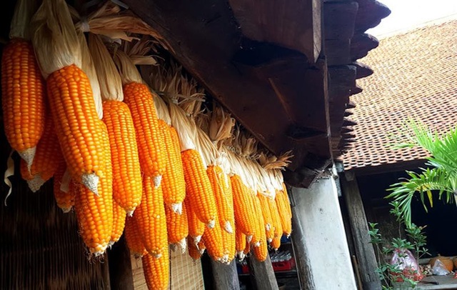 Mê mẩn với ngôi làng yên bình giữa Thủ đô hoa lệ - 9 Người dân phơi ngô trước các mái hiên nhà.