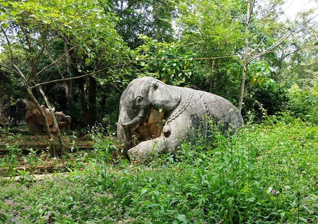 Thành nhà Hồ "đệ nhị" bị lãng quên, 52 tỉ đồng trùng tu vẫn nằm "trên giấy" - 9 Thành nhà Hồ "đệ nhị" bị lãng quên, 52 tỉ đồng trùng tu vẫn nằm "trên giấy" - 9