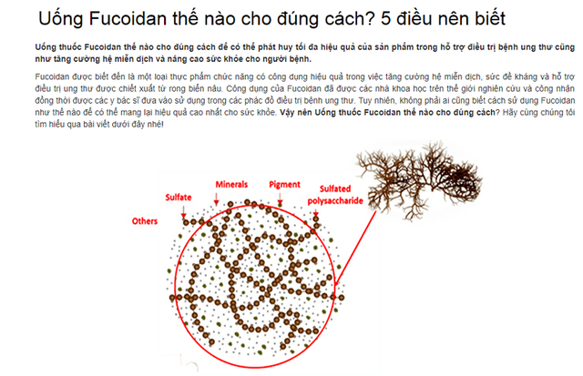 Thực hư công dụng thần dược fucoidan trị ung thư - 4 Thực hư công dụng thần dược fucoidan trị ung thư - 4