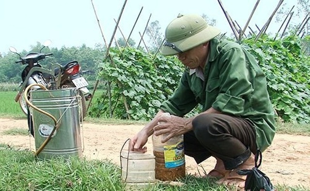 Nhiều mô hình sản xuất nông nghiệp "nói không" với hóa chất trừ sâu - 4 Phương pháp sử dụng thảo dược để làm thuốc trừ sâu đang được nhiều nông dân ở Nghệ An áp dụng.