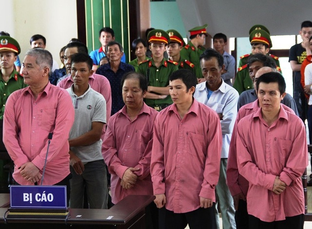 Giám đốc doanh nghiệp phá rừng lĩnh án cao nhất 12 năm tù - 1 Tổng cộng 9 bị cáo bị tuyên phạt 81 năm tù vì tội hủy hoại rừng.