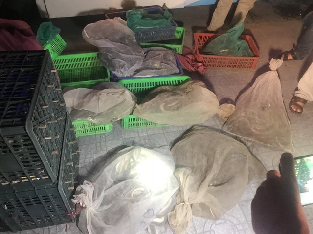 2 tạ rắn các loại vận chuyển trên ô tô khách - 3 Có đến 200kg rắn đủ loại được vận chuyển