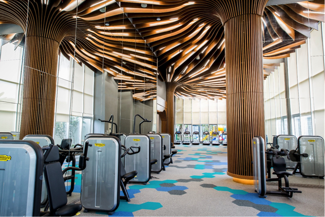 Doanh nghiệp bất động sản hiện thực hóa những cam kết với khách hàng - 3 Phòng tập gym thông tầng với trang thiết bị hiện đại.