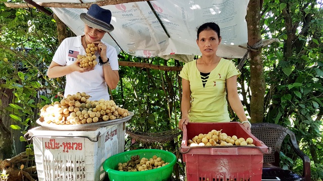 Quảng Nam: Về Tiên Phước thưởng thức lòn bon tận vườn - 4 Khắp nẻo đường lên Tiên Phước, đâu cũng gặp những vựa lòn bon được bày bán cho du khách