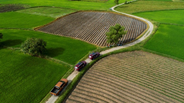 Chiêm ngưỡng những bức ảnh tuyệt đẹp giành giải Hành trình di sản 2018 - 10 Mai Thành Chương - Nắng sớm trên cánh đồng Tà Pạ.