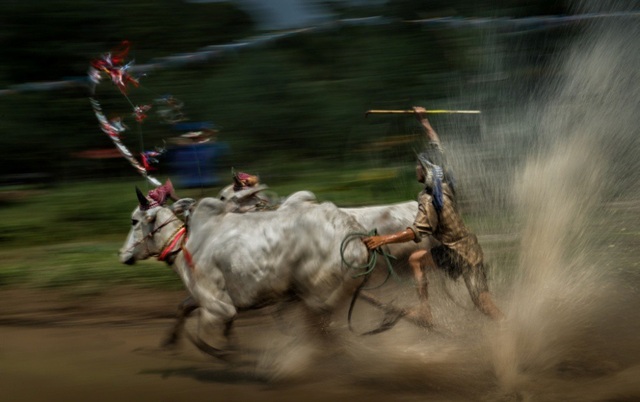 Chiêm ngưỡng những bức ảnh tuyệt đẹp giành giải Hành trình di sản 2018 - 20 Nguyễn Ngọc Hòa - Về đích