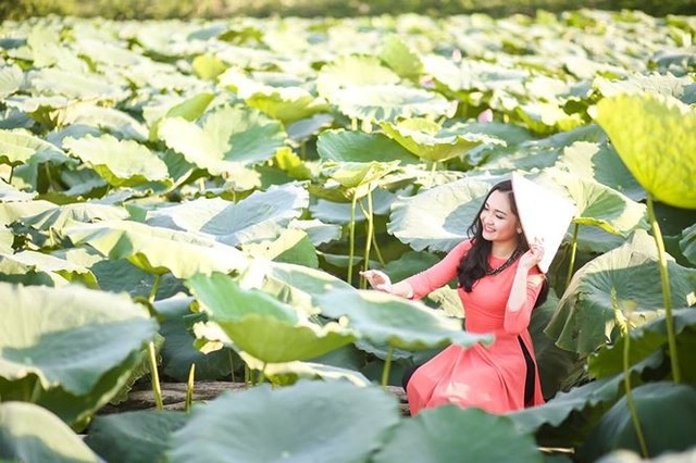 Nữ sinh xinh đẹp, đa tài, đam mê ca hát - 1
Nhật Linh là một cô gái xinh đẹp có đam mê ca hát từ nhỏ. Ngoài những thành tích tốt trong học tập, Nhật Linh còn có vô vàn những năng khiếu tài lẻ khác.