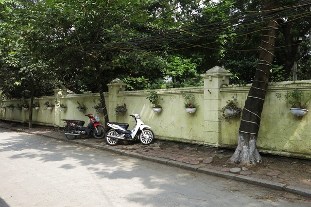Những vườn treo nhỏ xinh, mát mắt dọc ngõ phố Hà Nội - 5
Ngõ 250 phố Khương Trung (quận Thanh Xuân), hàng trăm chậu hoa được treo trên bức tường kéo dài gần hết ngõ.