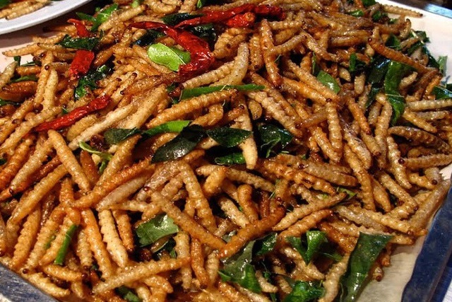 Rợn người 5 món ăn nhung nhúc, béo núc được xem là đặc sản ở Việt Nam - 4 Loài sâu này sống trong thân cây chít phổ biến ở các tỉnh phía Bắc. Ảnh minh họa
