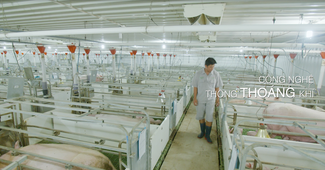 GreenFeed cung cấp nguồn thực phẩm sạch từ chuỗi 3F Plus cho mọi nhà - 3 Thit heo là một trong những thực phẩm chính trong bữa cơm của người Việt.