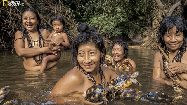 Hình Ảnh Vệ Tinh Của Rừng Nhiệt Đới Amazon Nam Mỹ Phù Điêu Và Đồng Bằng Bản  Đồ Vật Lý Phá Rừng Hình ảnh Sẵn có  Tải xuống Hình ảnh Ngay