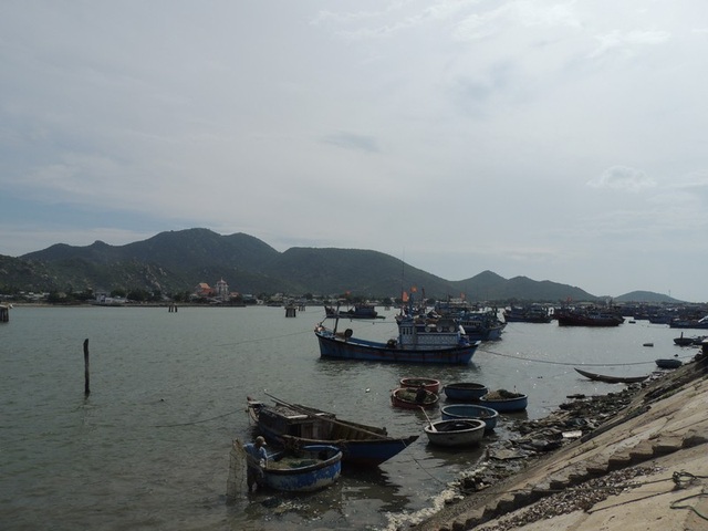 Chợ Nại – chợ quê hút khách ngoại - 3 Không chỉ có hải sản tươi sống, ở đây còn có phong cảnh hữu tình, làng chài bình yên