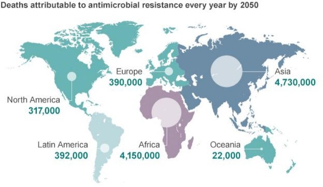 Theo bảng phân bố này, châu Á và châu Phi là nơi tập trung số người tử vong cao nhất do kháng kháng sinh.