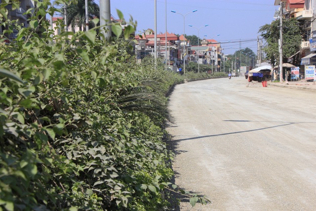 Cận cảnh con đường hơn 200 tỷ, dài 2km, thi công 7 năm... vẫn còn dang dở - 11 Về việc con đường dài 2km trong quá trình thi công gây ra tình trạng bụi bặm, ô nhiễm nghiêm trọng ảnh hưởng tới cuộc sống và sinh hoạt của người dân, ông Phùng Văn Phúc cũng cho biết, “Trước đây UBND thị xã cũng đã chỉ đạo Công ty Môi trường đô thị tưới nước trên tuyến đường thi công về mùa khô để đảm bảo hạn chế bụi, giúp đỡ người dân trong các sinh hoạt thường ngày, dọc trên tuyến đường. Nhưng đến thời gian gần đây, việc tới nước nhằm hạn chế bụi và ô nhiễm trong quá trình thi công cũng bị gián đoạn và không thực hiện được”.