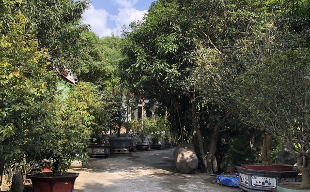 Kiểm tra biệt phủ của đại gia vàng, đội quy tắc bất lực quay về - 4 Kiểm tra biệt phủ của đại gia vàng, đội quy tắc bất lực quay về - 4