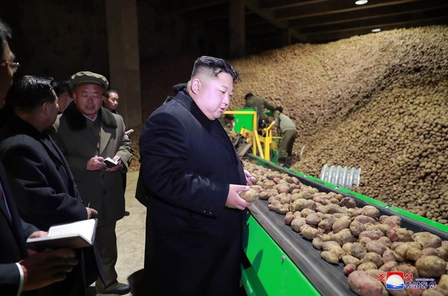 Ông Kim Jong-un đội tuyết thị sát nhà máy sau 2 tuần vắng bóng - 4
Triều Tiên từng đẩy mạnh cuộc cách mạng trong lĩnh vực trồng khoai tây do cố lãnh đạo Kim Jong-il khởi xướng từ năm 1998. Đây là một phần trong chính sách trọng tâm của các nhà lãnh đạo Triều Tiên nhằm giải quyết vấn đề lương thực cho người dân.