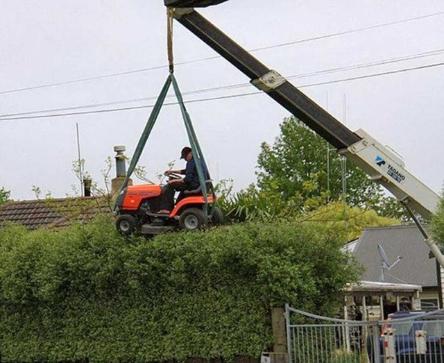 Theo bạn cha đẻ của những ý tưởng dưới đây là “thiên tài” hay “kẻ điên rồ”? - 2 Làm vườn trong thời đại 4.0.