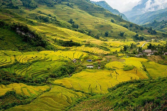 Y Tý mùa vàng - thắng cảnh ngoạn mục đất trời Tây Bắc mỗi độ Thu sang - 1 Y Tý mùa vàng - thắng cảnh ngoạn mục đất trời Tây Bắc mỗi độ Thu sang - 1