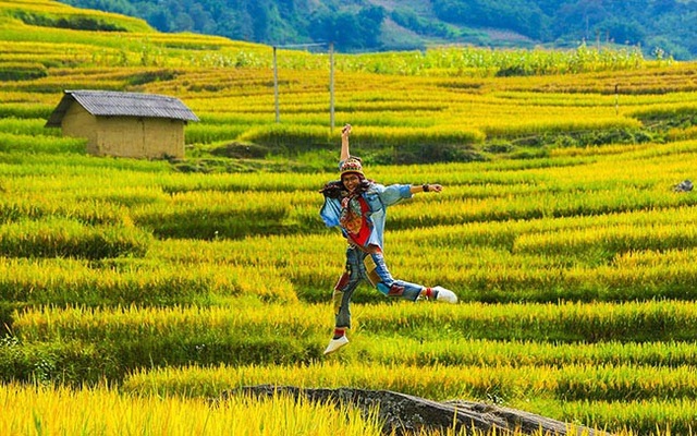 Y Tý mùa vàng - thắng cảnh ngoạn mục đất trời Tây Bắc mỗi độ Thu sang - 9 Y Tý mùa vàng - thắng cảnh ngoạn mục đất trời Tây Bắc mỗi độ Thu sang - 9