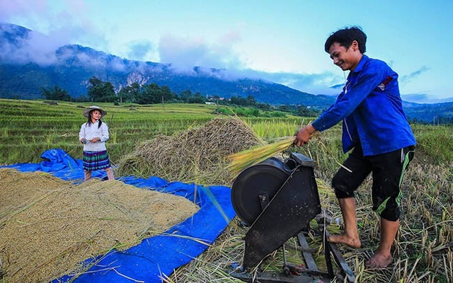 Y Tý mùa vàng - thắng cảnh ngoạn mục đất trời Tây Bắc mỗi độ Thu sang - 12 Y Tý mùa vàng - thắng cảnh ngoạn mục đất trời Tây Bắc mỗi độ Thu sang - 12