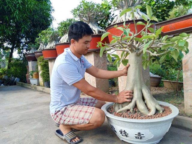 Độc lạ cây sứ “chân dài”… không đụng hàng ở xứ hoa - 10
Theo anh Duy Phong, dân chơi sứ chân dài chủ yếu là mua từ Thái Lan, còn làm ra cây sứ này anh là người tiên phong ở Việt Nam