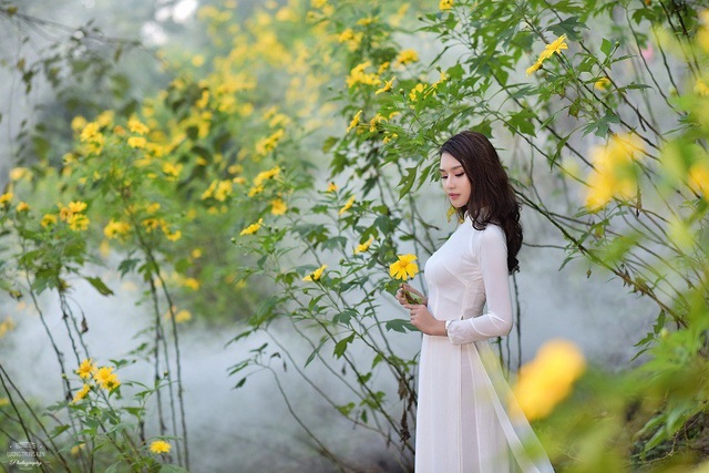 Thiếu nữ đất Cố đô khoe sắc bên hoa dã quỳ đầu mùa | Báo Dân trí