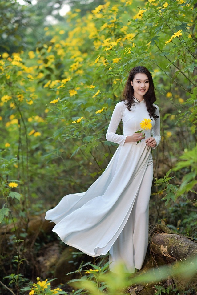 Thiếu nữ đất Cố đô khoe sắc bên hoa dã quỳ đầu mùa | Báo Dân trí