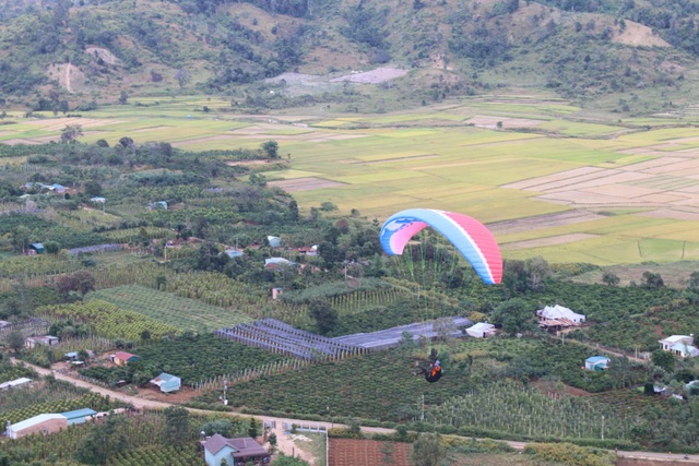 Mạo hiểm với môn thể thao dù lượn trên núi lửa Chư Đăng Ya - 4 Các phi công chao lượn nên ngọn núi lửa Chư Đăng Ya