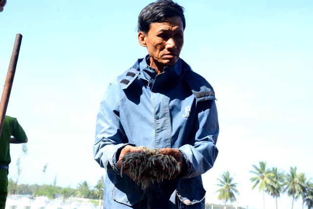 Hơn 10 vạn con tôm nuôi chết trắng hồ, nghi do bị đầu độc - 1
Ông Đỗ Minh Thêm buồn bã khi tôm của ba hồ nhà ông bị chết sạch
