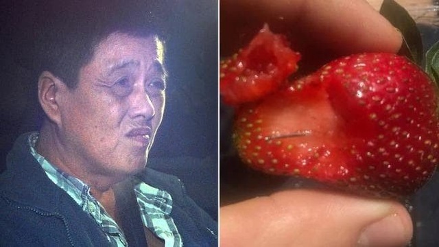 Bà Ut Trinh đâm 1 que kim gây khủng hoảng toàn nước Úc - 1
Que kim gây cuộc khủng hoảng dâu