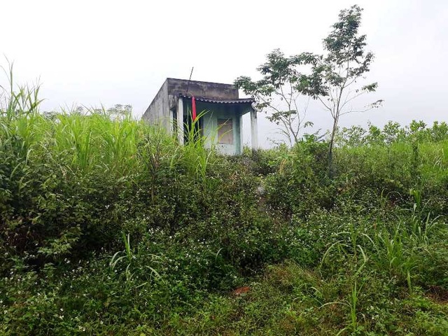 Cảnh hoang tàn nơi Làng thanh niên lập nghiệp - 3 Những ngôi nhà bỏ hoang không một bóng người.