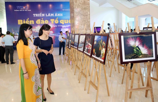 Khai mạc Triển lãm ảnh “Biển đảo Tổ quốc” - 1
Triển lãm ảnh Biển đảo Tổ quốc do TTXVN phối hợp Tập đoàn Dầu khí Việt Nam tổ chức