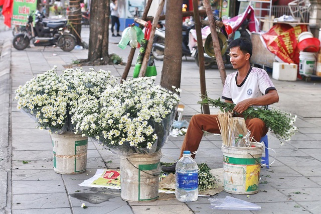 Ngắm cúc họa mi tinh khôi mang đông về khắp phố phường Hà Nội - 3 Hiện tại, cúc họa mi được bán nhiều trên các tuyến phố: Nguyễn Chí Thanh; Nguyễn Trãi (Hà Đông); đường Phan Đình Phùng;…