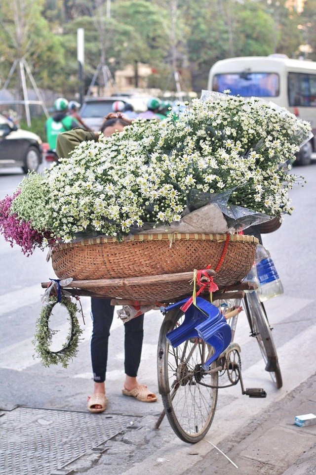 Ngắm cúc họa mi tinh khôi mang đông về khắp phố phường Hà Nội - 4 Chỉ cần 1 buổi chiều dạo quanh phố có thể dễ dàng bắt gặp những gánh hàng rong chở đầy cúc họa mi như thế này.
